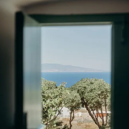 Bonora Country - Askeri *